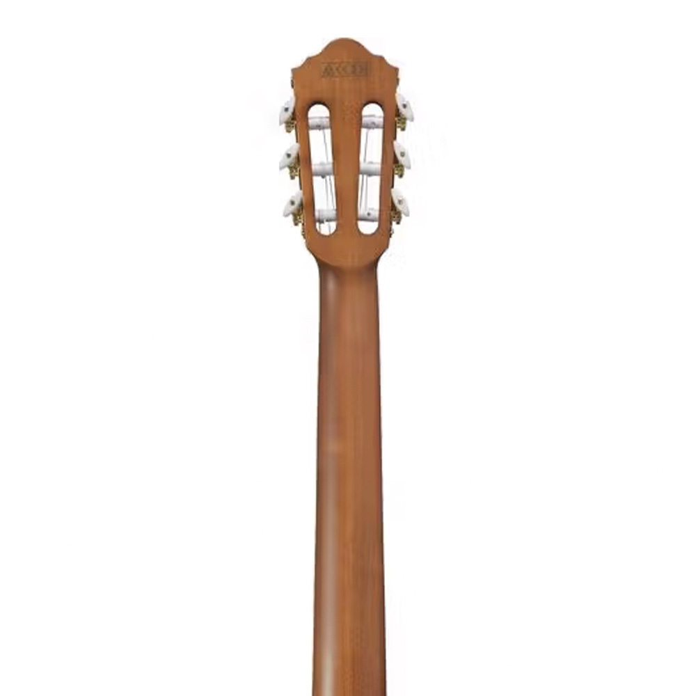 Ibanez FRH10NL-BSF Thinline Solak Elektro Klasik Gitar Fiyatı
